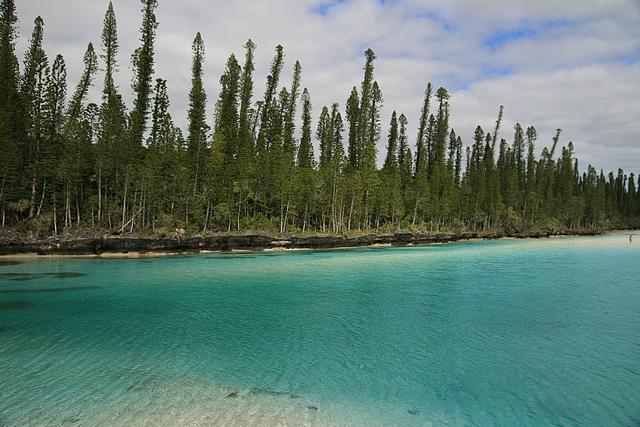 Oro-ile des pins (1).jpg